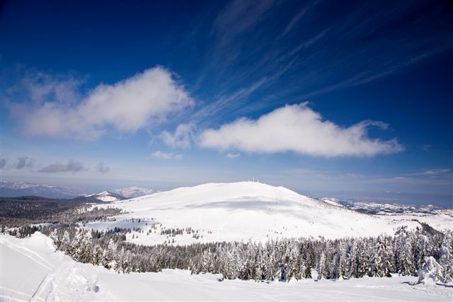 KOPAONIK